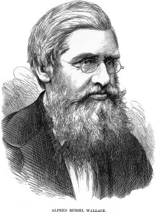 Alfred Russel Wallace